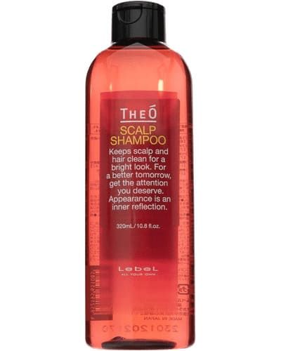 Lebel Theo Scalp Shampoo - Шампунь многофункциональный для мужчин 320мл