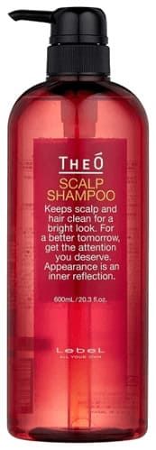 Lebel Theo Scalp Shampoo - Шампунь многофункциональный для мужчин 600мл