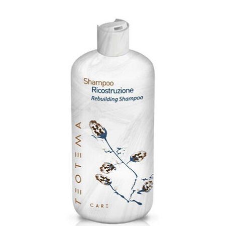 Teotema Rebuilding Shampoo - Шампунь восстанавливающий 1000мл