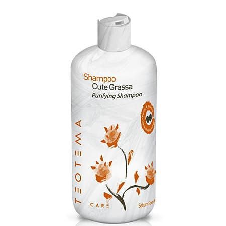 Teotema Sebum Specific Purifying Shampoo - Шампунь против жирности волос 500мл